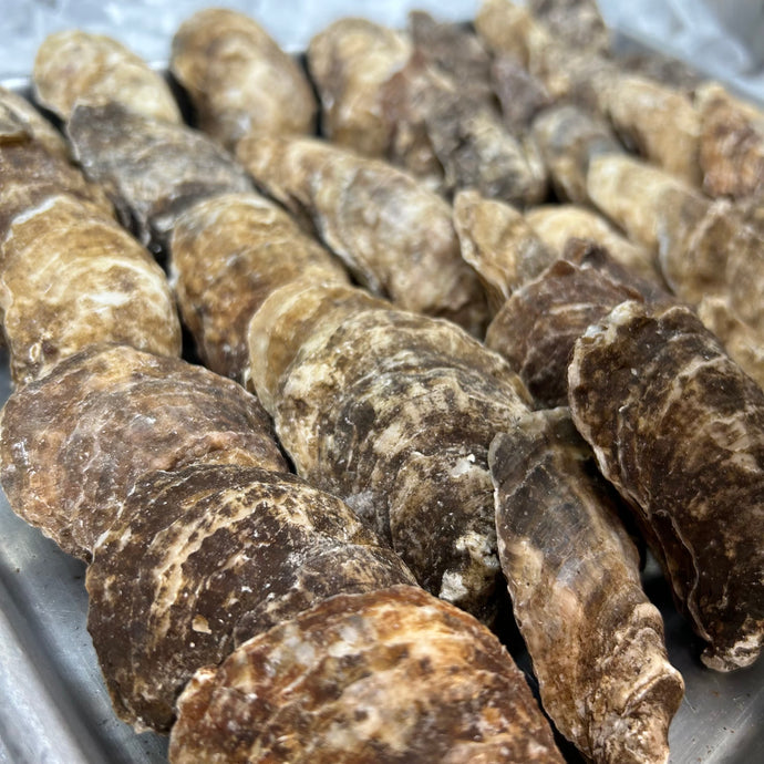 Oysters, Black Magic (P.E.I. Canada)