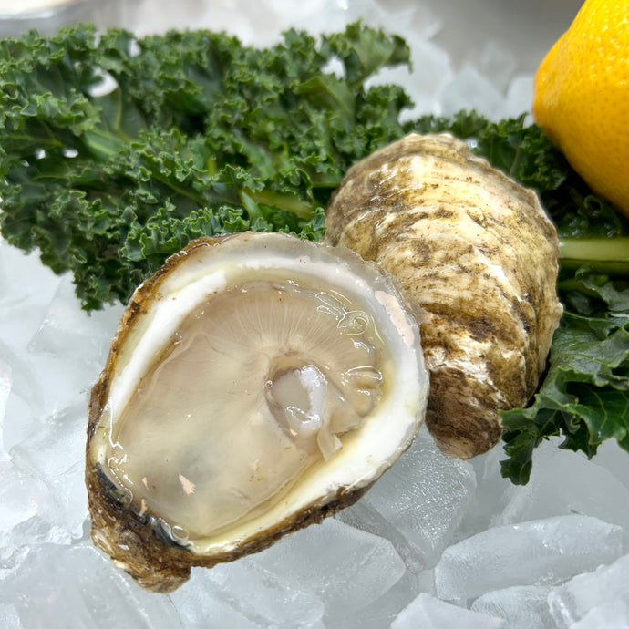 Oysters-Shucked, Black Magic (P.E.I. Canada)