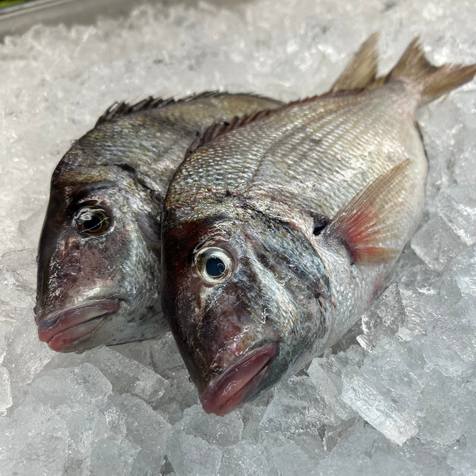 Porgy - WHOLE, Cleaned