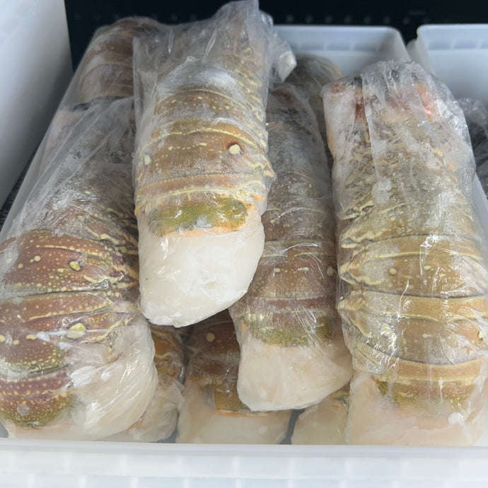 Brazilian Lobster Tails (16-20 oz. each)
