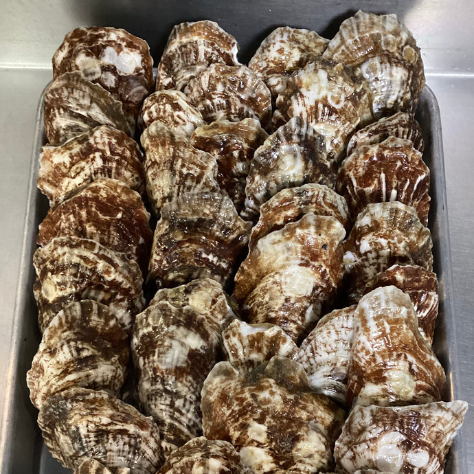 Aquidneck Island Oysters