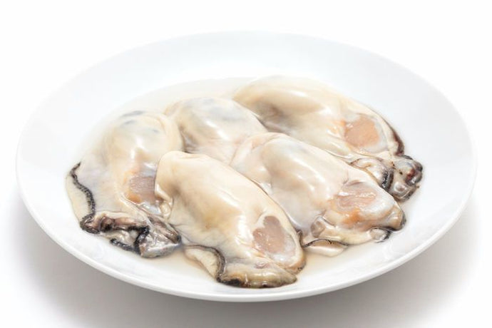 Oysters - Gallon