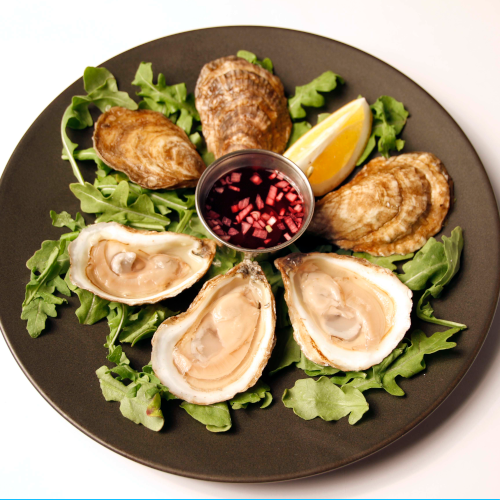 Oysters-Shucked, Beau Soleil (NB, Canada)